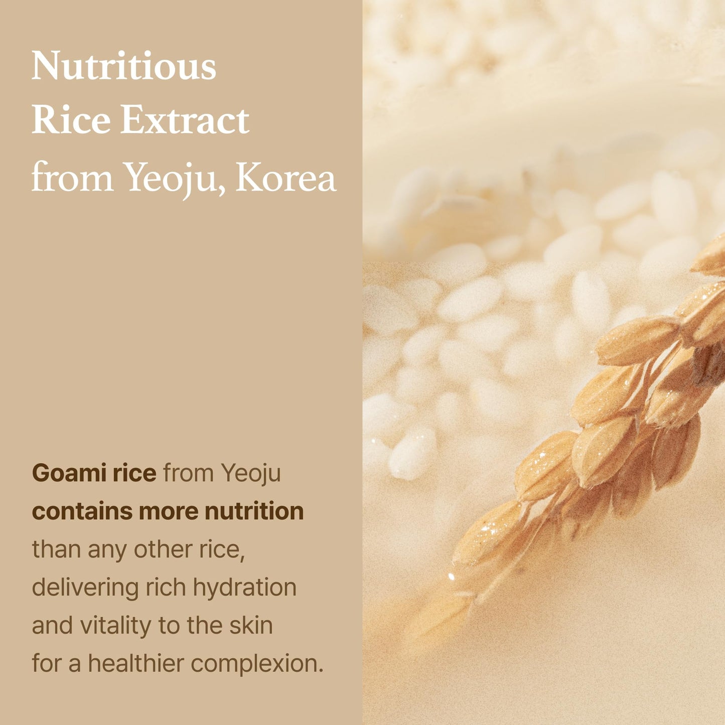 [I'm From] Rice Toner, 77.78% Rice Extract from Korea, Glow Essence with Niacinamide, Hydrating for Dry Skin, Vegan, Alcohol-Free, Fragrance-Free, Peta Approved, k beauty toner